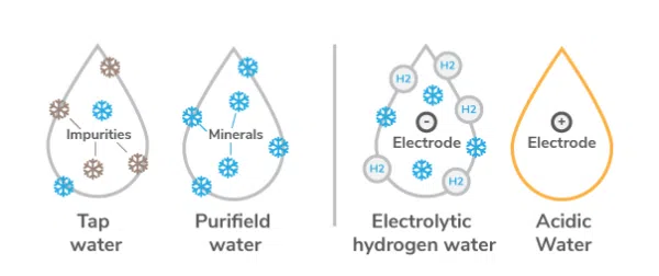 Hydrogen Plus Alkaline Ionizer-HWP-55 - Image 7